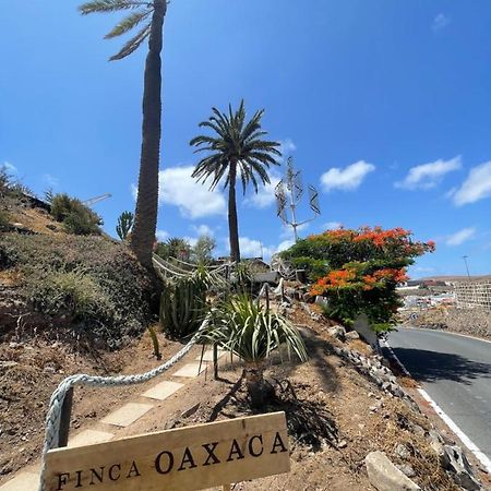 Finca Oaxaca - Casa Iguana Агаэте Экстерьер фото